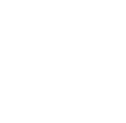 NUYU Feng Shui Online Shop